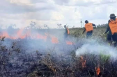 Soroti Dana Karhutla Rp30 Miliar, Ivan Wirata Desak Pengadaan Transparan dan Bisa Diaudit
