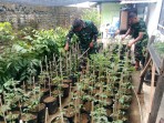 Ubah Lahan Kosong Jadi Produktif, Satgas TMMD Ke-129 Kodim 0102/Pidie Mulai Tanam Bibit Sayuran
