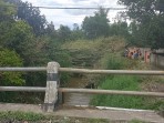 Hujan dan Angin Kencang Tumbangkan Bambu di Sungai Tutung, Warga Minta Pemkab Kerinci Turunkan Alat Berat