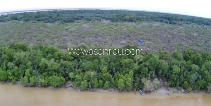 Hutan Cagar Alam Pulau Berkey Di Sinyalir Sebagian Porak Poranda, Dishut Riau Segera Turun Tangan