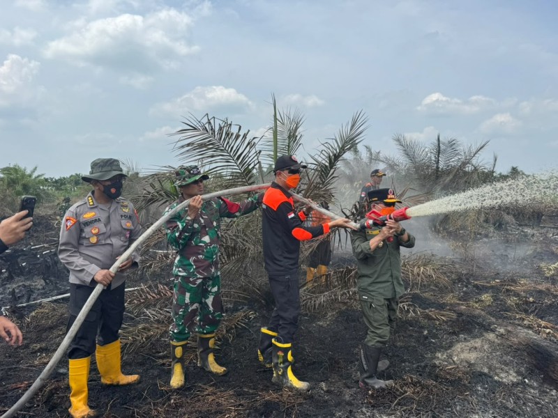 Turun Langsung Padamkan Karhutla di Air Merah, Gubernur Al Haris: Gambut Sulit Dipadamkan