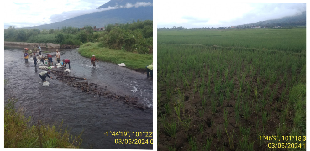 Bendungan DI.  Sungai Jernih Jebol,  Areal Sawah Kering, Petani Terancam Gagal Panen
