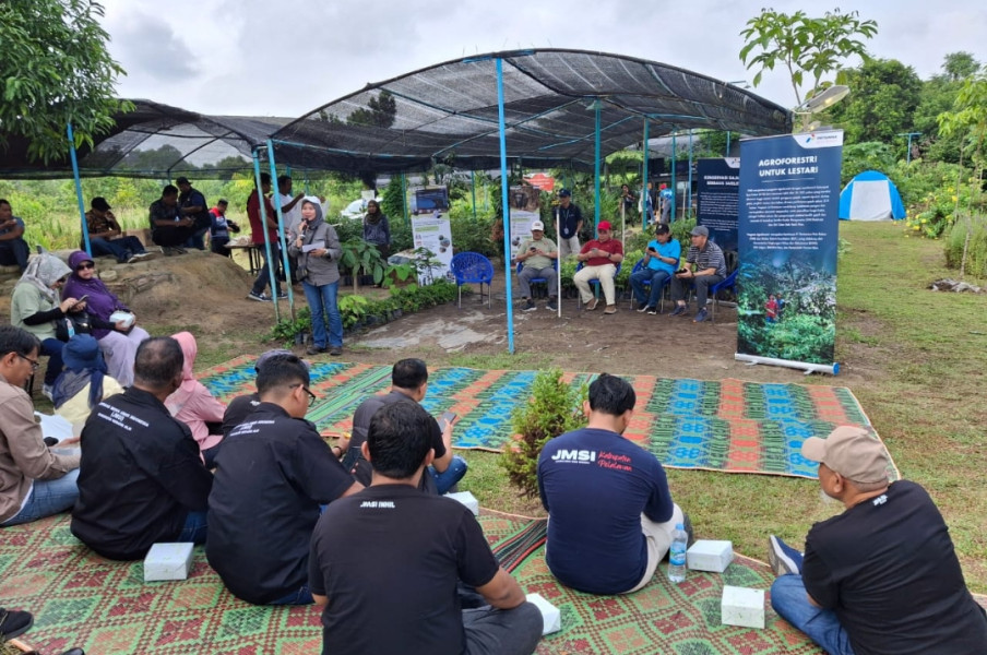 JMSI Riau Kunjungi Pusat Pembibitan Agroforestri Mitra PHR di Pematang Pudu