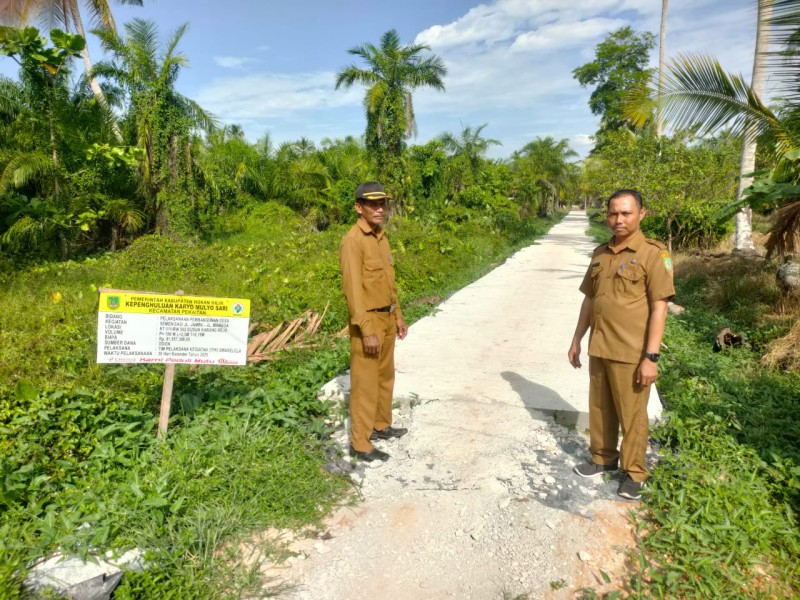 Kepenghuluan Karyo Mulyo Sari Tuntaskan Progress Pembangunan Jalan, Ini Penjelasan Penghulu