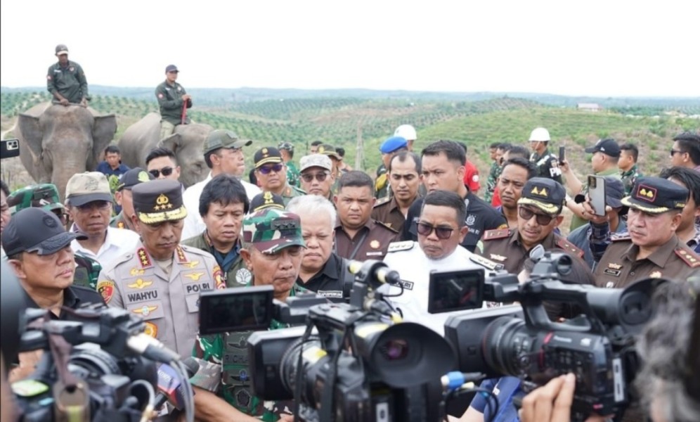 Penertiban Sawit Ilegal, Langkah Tegas Satgas PKH Selamatkan Kawasan Hutan Taman Nasional Teso Nilo