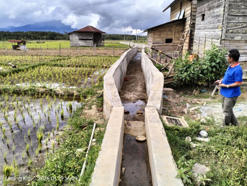 Proyek Saluran Irigasi Oplah Pertanian Desa Danau Tinggi Terkesan Menghamburkan Uang Negara