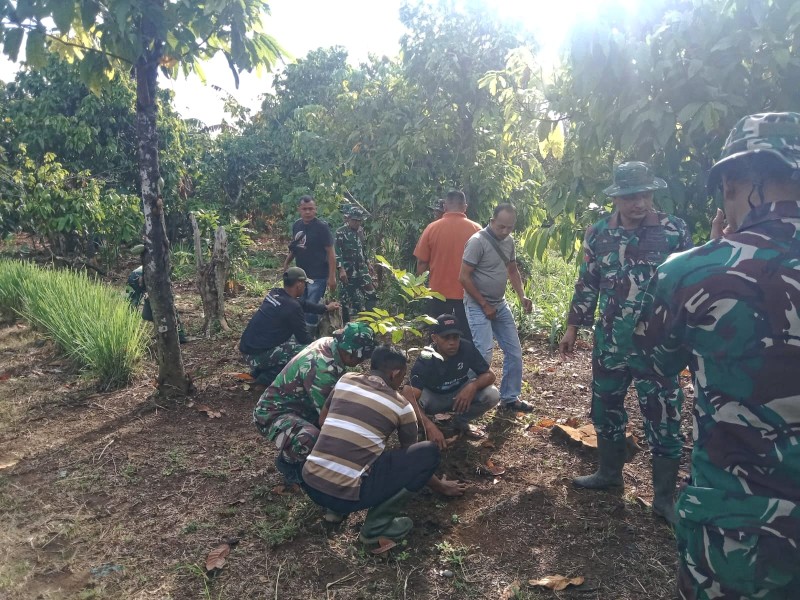 Sinergi TNI dan Warga Wujudkan Lahan Produktif, Satgas TMMD Ke-129 Tanam Pohon Buah di Desa Lhok Panah
