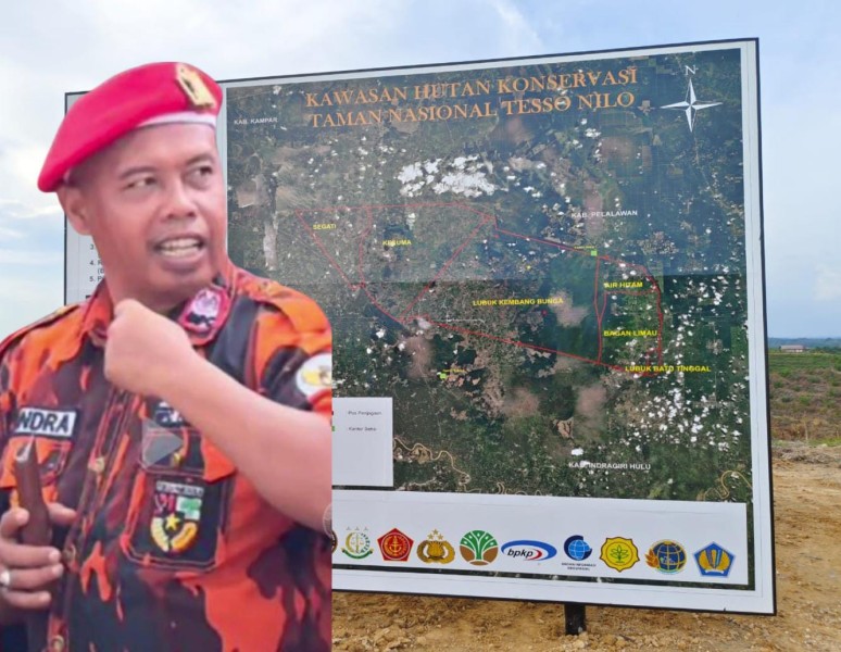 Pemuda Pancasila Pelalawan Angkat Bicara, Mandrak Dukung Penertiban Hutan TNTN