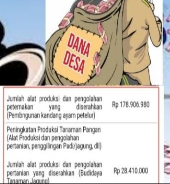 Wow, Biaya Dana Desa Untuk Pembuatan Kandang Ayam Desa Koto Tengah Semerap  Capai Ratusan Juta Rupiah