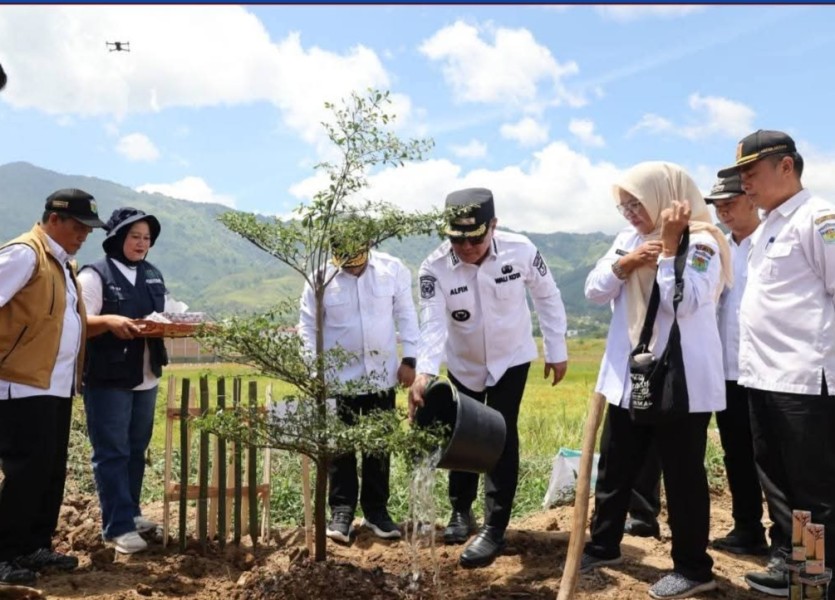 Hijaukan Sungai Penuh, Wako Alfin Pimpin Penanaman 19 Ribu Pohon Serentak
