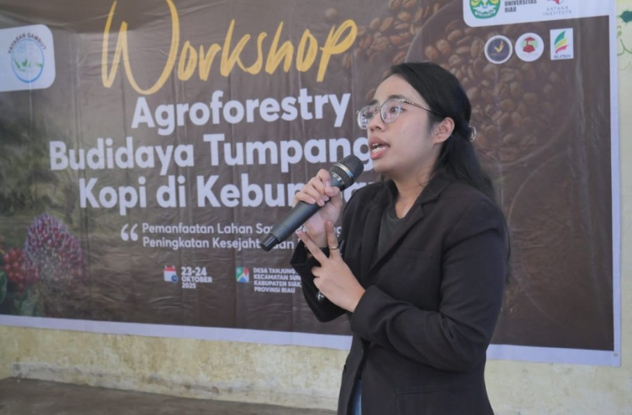 Menjaga Alam Menggandakan Hasil, Inovasi Tumpang Sari Tanaman Kopi di Lahan Sawit