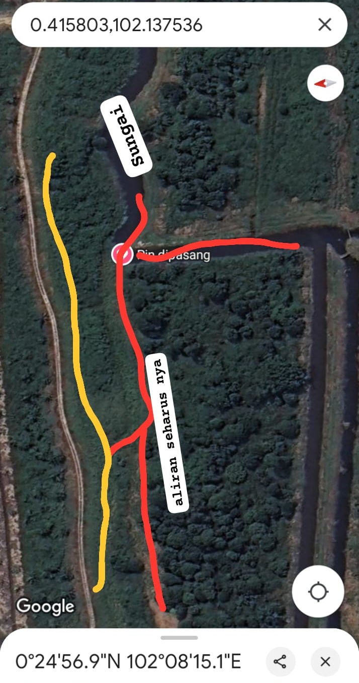 A2-PKH Desak Gakkum DLH Pelalawan Beri Sanksi Tegas Atas Pengrusakan Lingkungan Dilakukan PT. Adei Plantaion