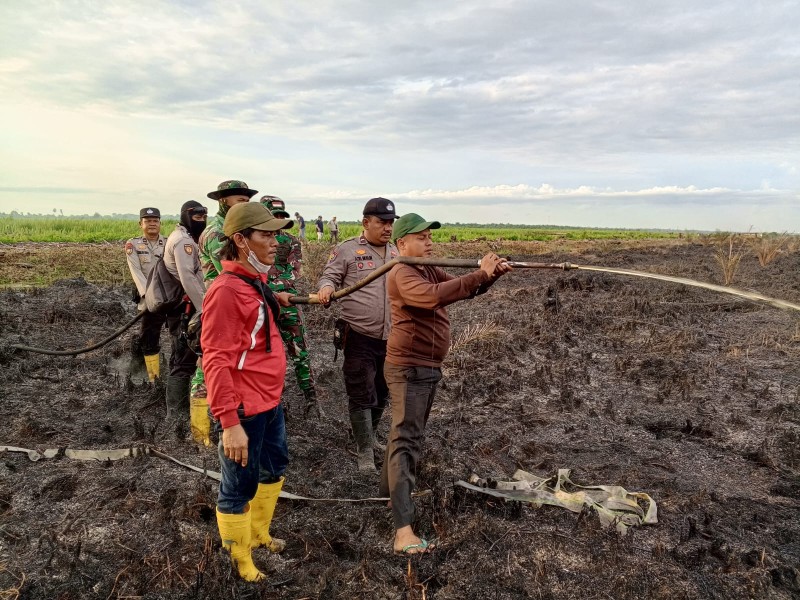 Diduga Sengaja Bakar Lahan, Polres Rohil Tahan Petani Kuba