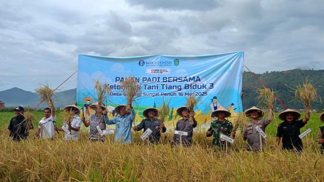 Mewakili Dandim 0417/Kerinci  Pasiter Hadiri Panen Padi di Desa Gedang