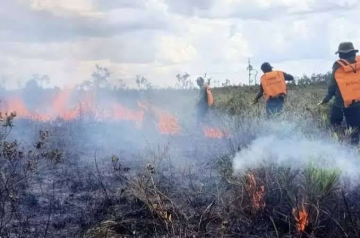 Soroti Dana Karhutla Rp30 Miliar, Ivan Wirata Desak Pengadaan Transparan dan Bisa Diaudit