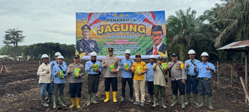 Dukung Program Asta Cita Presiden ,Polres Rohil Tanam Jagung Dilahan Satu Hektar
