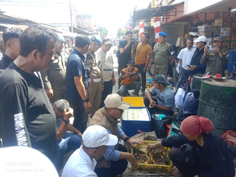 Wali Kota Alfin Tinjau Pasar Tanjung Bajure, Pastikan Penataan Tak Ganggu Aktivitas Warga