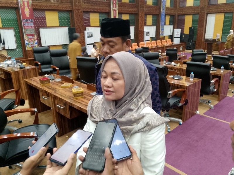Penanggulangan Bencana Sangat Krusial ,Ini Respon Ketua DPRD Rohil