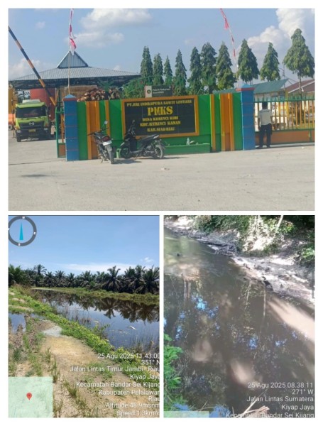 Limbah Pabrik PT SISL Cemari Sungai Kiyap Jaya