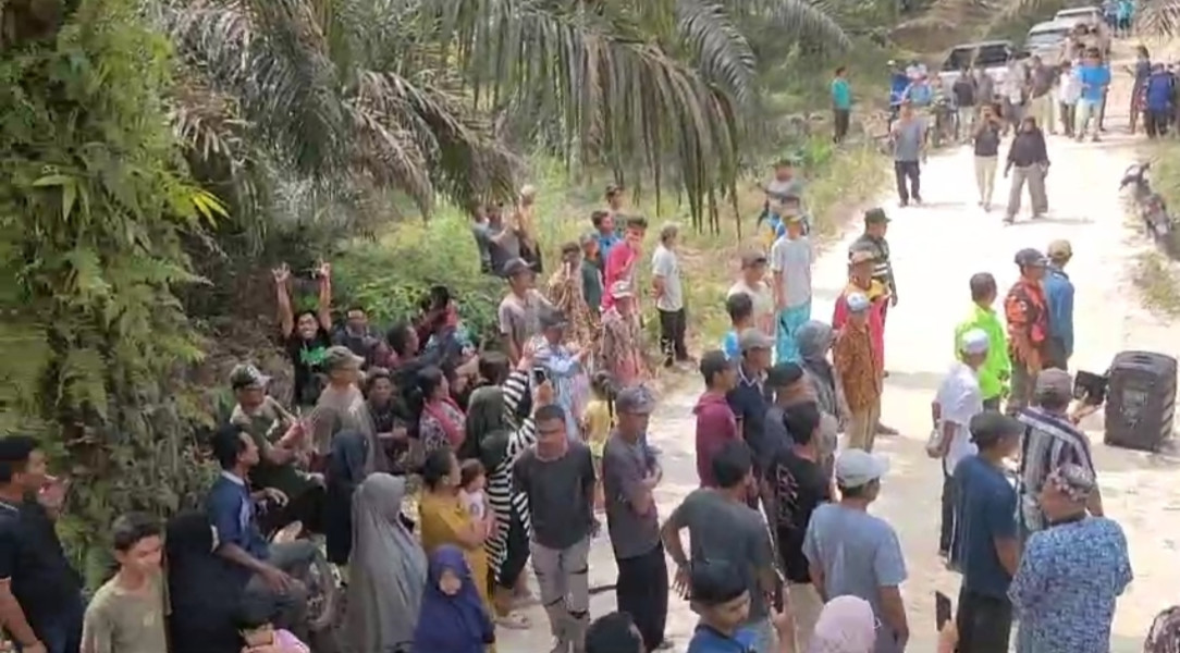 Ratusan Petani Sawit Segati Demo Atas Arogansi NSR dan NWR