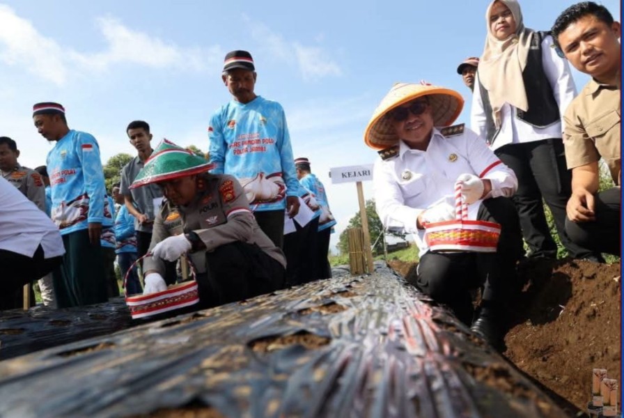 Gerakan Tanam Bawang Putih Serentak, Sungai Penuh Dukung Percepatan Swasembada Nasional