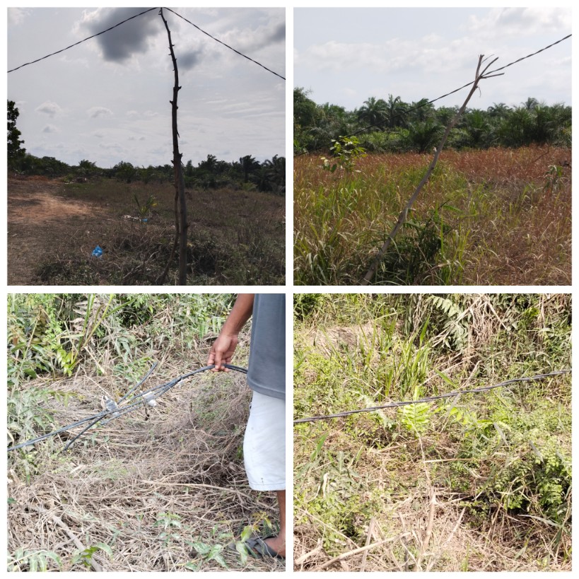 Kabel Tegangan Tinggi Milik BUMD Tuah Sekata Tergeletak di Jalan Koridor Km 8–10, Perusahaan Plat Merah Itu Janji Perbaikan Secepatnya