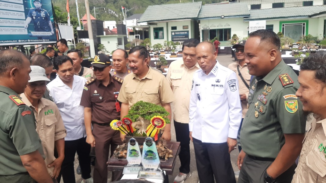 Kontes Tanaman Hias Sejenis Pohon Bonsai Rebut Piala Dandim 0417/Kerinci