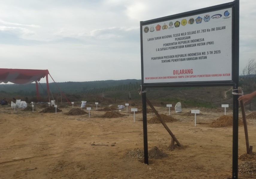 Bangun Sekolah di TNTN, Disdik Pelalawan Harus Bertanggungjawab Kerusakan Hutan Konservasi