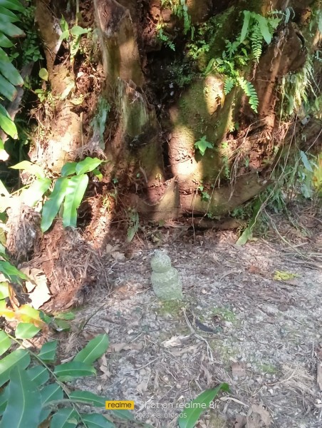 Belasan Tahun Perjuangkan Tanah Leluhur, Warga Siak Klaim Lahan di Luar HGU PTPN V Malah Ditanami Sawit