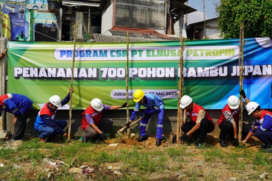 Peringati Hari Lingkungan Hidup Sedunia, PT Elnusa Petrofin Hijaukan Jalur Distribusi Energi Lewat Penanaman 9.292 Pohon