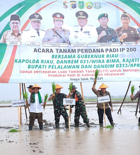 Tanam Padi di Kuala Kampar, Potensi Pertanian yang Luarr Biasa